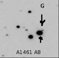 JDSO 3:75 3. STI 2675 "A" is USNO 2150/29353. 4. STI 2681. CCD image shows "A" and "B" reversed. Raw instrumental mags; A 13.77, B 12.69. 5. STI 2685.