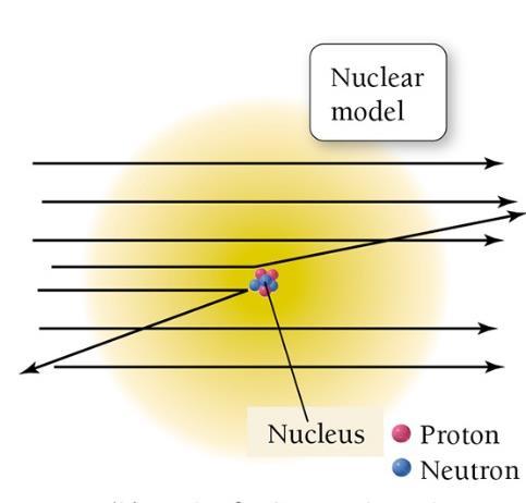 If Thomson s Plum Pudding atomic model was correct, this would be similar to a rifle shot through tissue paper, and no bullet should be deflected.