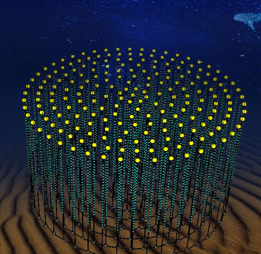 3.2 Technical Design 15 Figure 3.2: An artists impression of one building block of KM3NeT. DOMs are shown in blue, and the buoys are shown as yellow spheres.