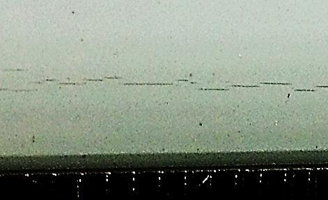 backsheet Cracks of PVDF film found along ribbon wire in