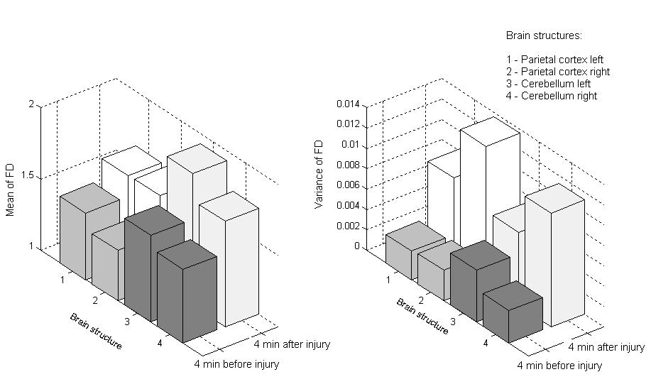 Slika 38. Srednje vrednosti i varijanse FD aktivnosti malog i velikog mozga pacova (pre i posle povrede).