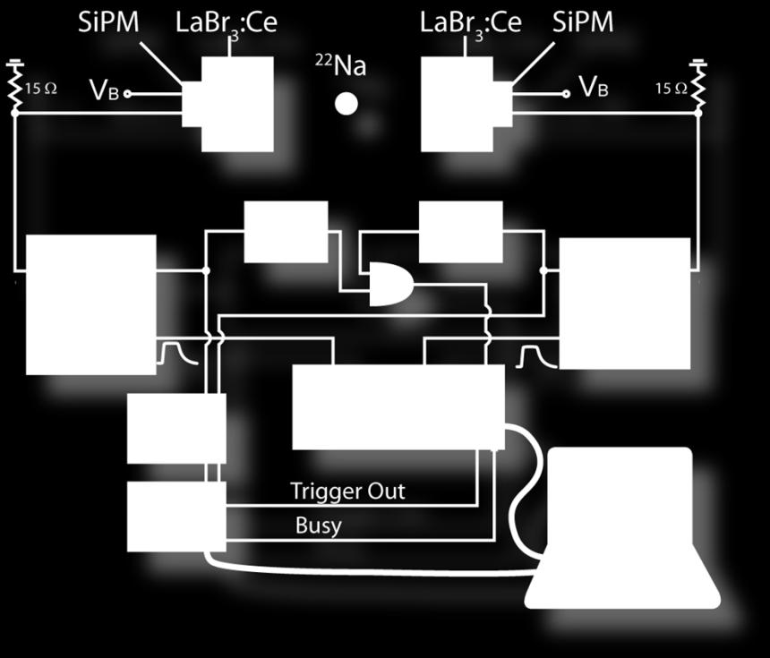Photomultipliers (Hamamatsu MPPC-S10362-33-050C) Digital Signal Processing