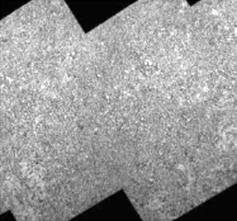 1032 INDIAN J MAR SCI VOL 42 NO 8, DECEMBER 2013 Fig. 16 Mosaic of gas hydrate field at Joetsu Knoll Fig. 14 Surface outside of the scratch mark Fig.