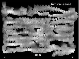 Fig. 10. Mosaic of the seafloor captured by Tuna-Sand. Fig. 12. Topography of seafloor in scratch-mark field at Kuroshima Knoll. Fig. 13.