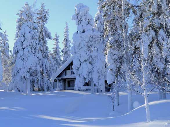 Special Departures Operators Key Destination Date(s) Op. Lapland Winter Wonderland (Day trip) 09.12.