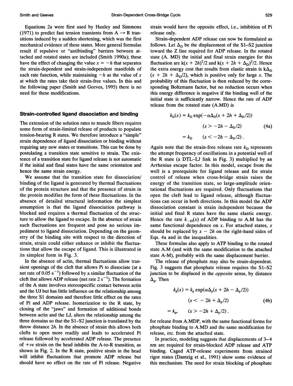 Smith and Geeves Strain-Dependent Cross-Bridge Cycle 529 Equations 2a were first used by Huxley and Simmons (1971) to predict fast tension transients from A -> R transitions induced by a sudden