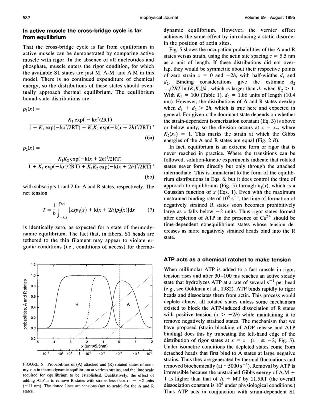 532 Biophysical Journal Volume 69 August 1995 In active muscle the cross-bridge cycle is far from equilibrium That the cross-bridge cycle is far from equilibrium in active muscle can be demonstrated