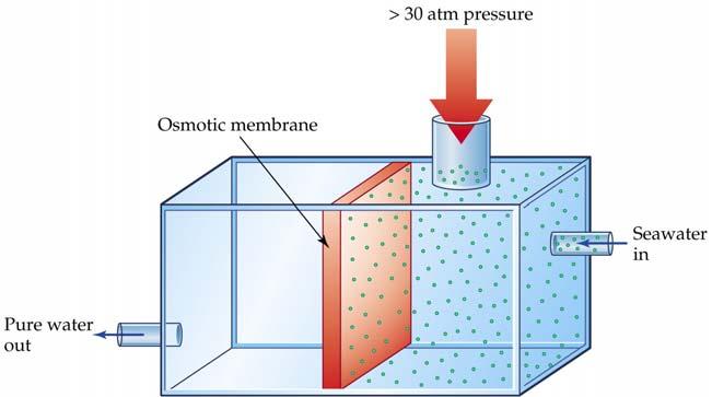 Osmosis and Osmotic Pressure (Π) A 202 ml benzene solution containing 2.47 g of an organic polymer has an osmotic pressure of 8.63 mm Hg at 21 C. Calculate the molar mass of the polymer.