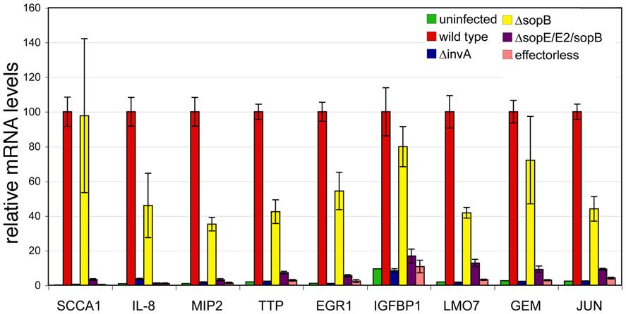 Figure 2. Quantitative RT-PCR analysis of the Salmonella Typhimurium-induced transcriptional response. Cultured human epithelial cells were infected with different strains of S.