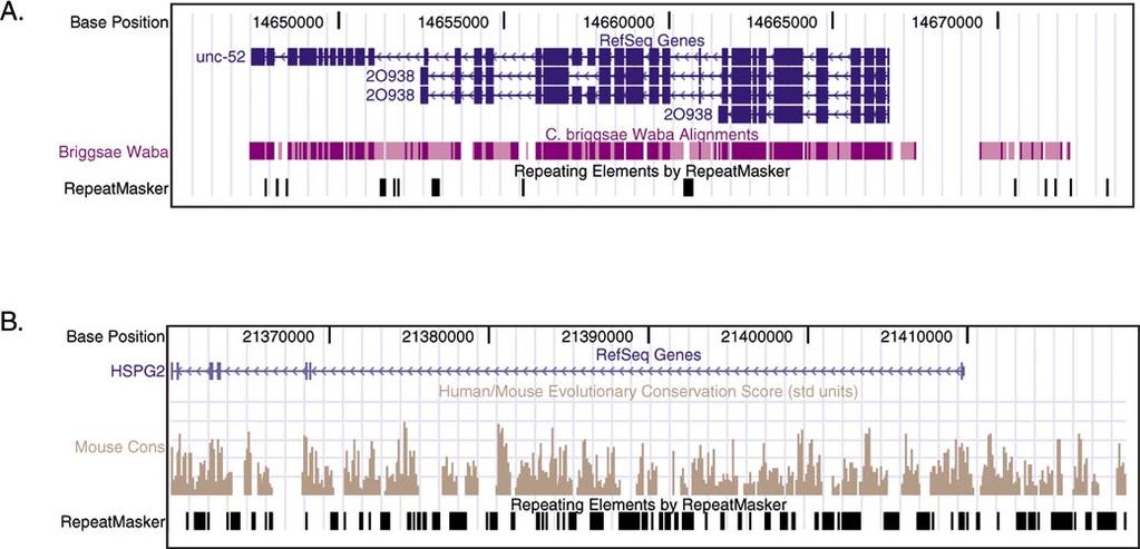 DOI: 10.1371/journal.pbio.0000058.g002 Figure 2. Examples of UCSC Genome Browser Views of Genes and Alignments The unc-52 gene in C.