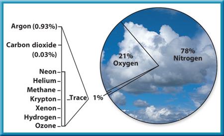 1 Earth s Atmosphere Gases in the Atmosphere This circle graph shows the