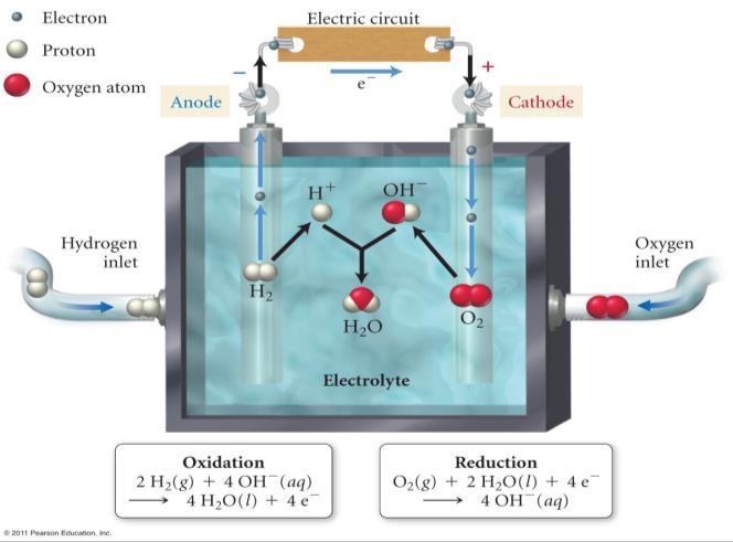 E l e c t r o c h e m i s t r y C h 1 9 P a g e 21 b) Write the overall reaction and include the E cell under standard conditions for the nickel-cadmium battery as it spontaneously discharges?