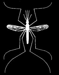 Diptera Flies, Gnats, Midges, and Msquites Arund 99,000 species wrldwide, with sme 17,000 in Nrth America.