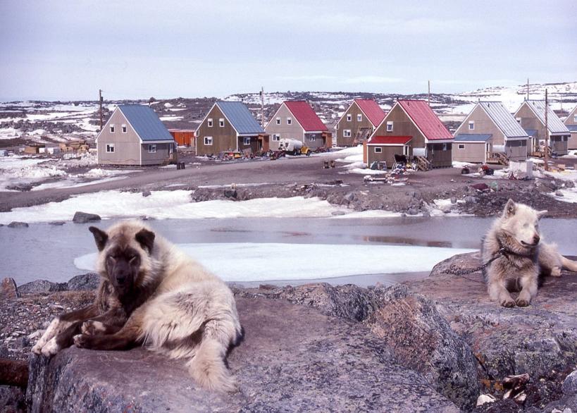 In 2006, an entire village had to relocate itself further inland because of the melting ice. Land Inuit have built their buildings on once was frozen year round.