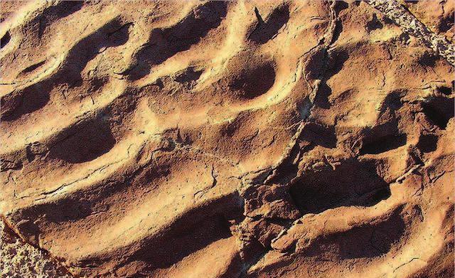 Sands of thetriassic Moenkopi Sandstone were deposited by shallow streams as evinced by ripple marks, cross