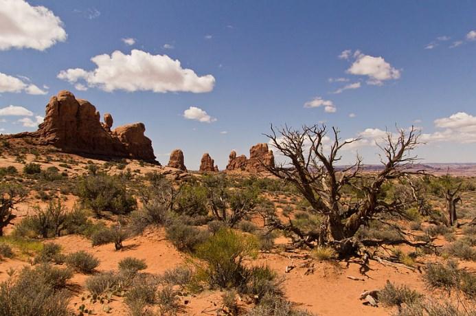 Deserts provide ecosystem services through recreation and tourism. They provide people with places to hike, camp, and enjoy the outdoors. People from all over the world visit deserts.