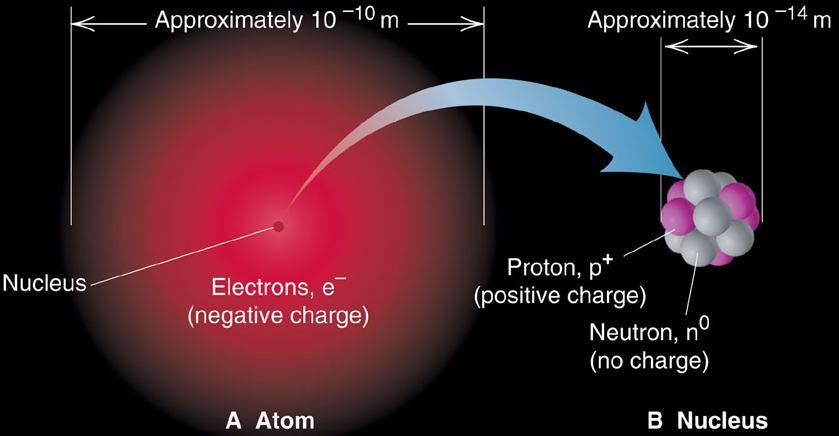 β-particles light and negative γ-rays electromagnetic radiation Rutherfords α-scattering experiment (1910) 2.