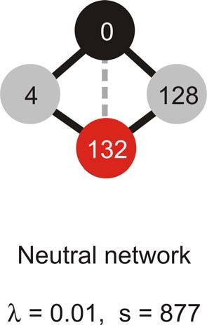 Neutral network: Individual