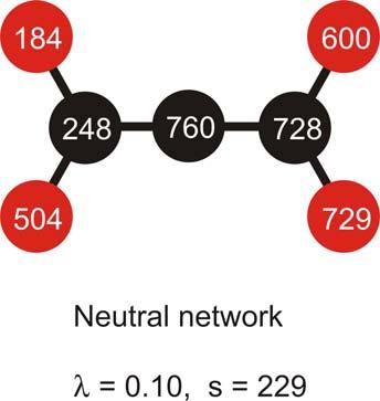 N = 7 Adjacency matrix Neutral