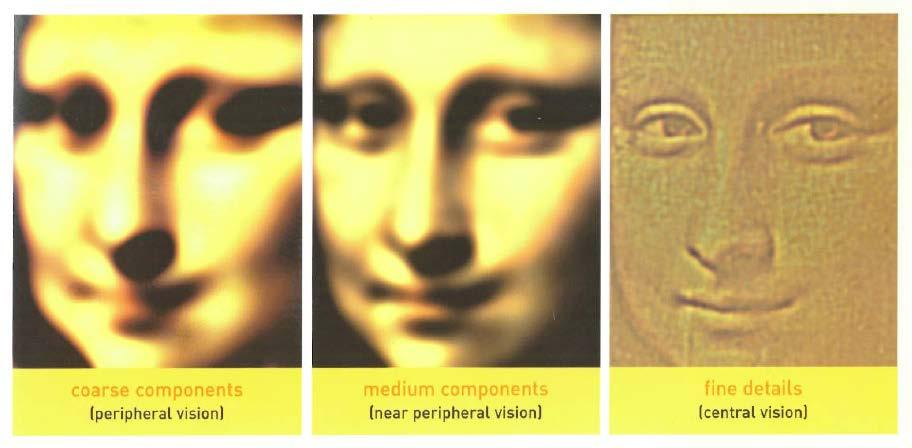 Leonardo playing with peripheral vision