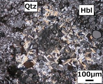 70m)(Qtz:quartz, Chl:chorite, Pl:plagioclase, Rt:rutile) Polish section observation Polish section is made from all samples.