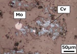 Ore minerals and gangue minerals were indicated in Table 1.