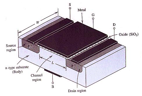 MOSFET cross section With applied V gs, depletion region forms n n P 3