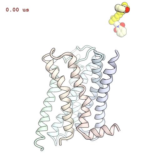 Determining where drug molecules bind, and how they exert their effects We used simulations to determine where this molecule binds to its receptor, and how it changes the binding strength of