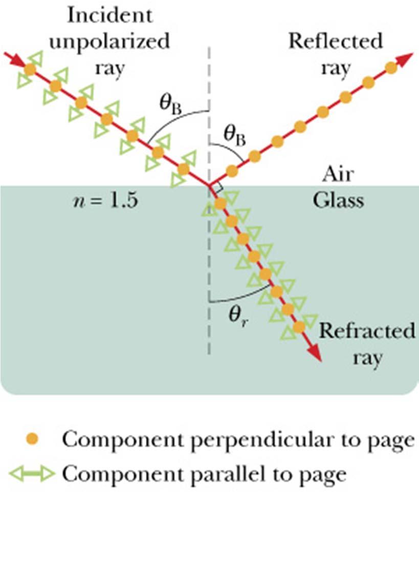Polarization by Reflection When the refracted ray is perpendicular to the reflected ray, the electric field parallel to the page (plane of incidence) in the medium does not produce a reflected ray