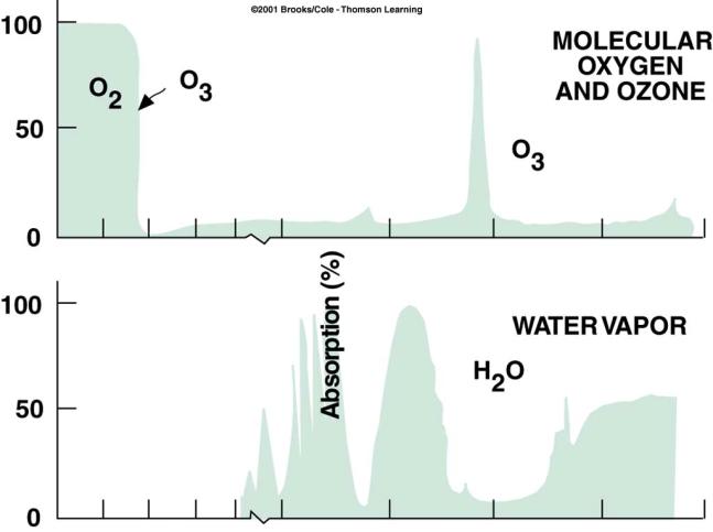 Absorption by Ozone and Water Vapor Percent