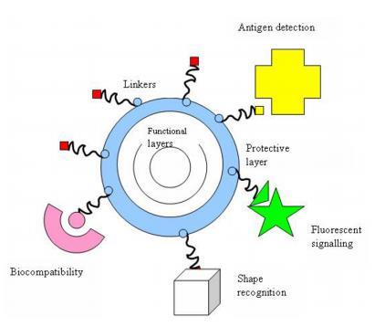 Fig. 2.5. Functional applications of the nanocrystals [22]. 2.2 Tetrapyrrole molecules 2.2.1 Using tetrapyrrole molecules in medicine In recent years, a class of tetrapyrrole molecules (TM) have been of great interest in biomedicine [23, 24].