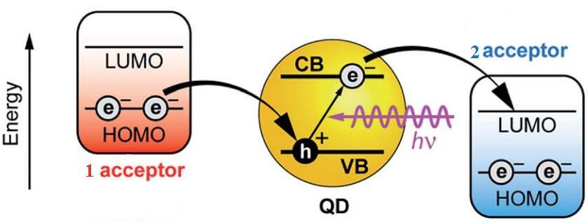 Fig. 2.10. Luminescence quenching mechanism of donor. The dissociation of an exciton generated by photoexcitation of QD.