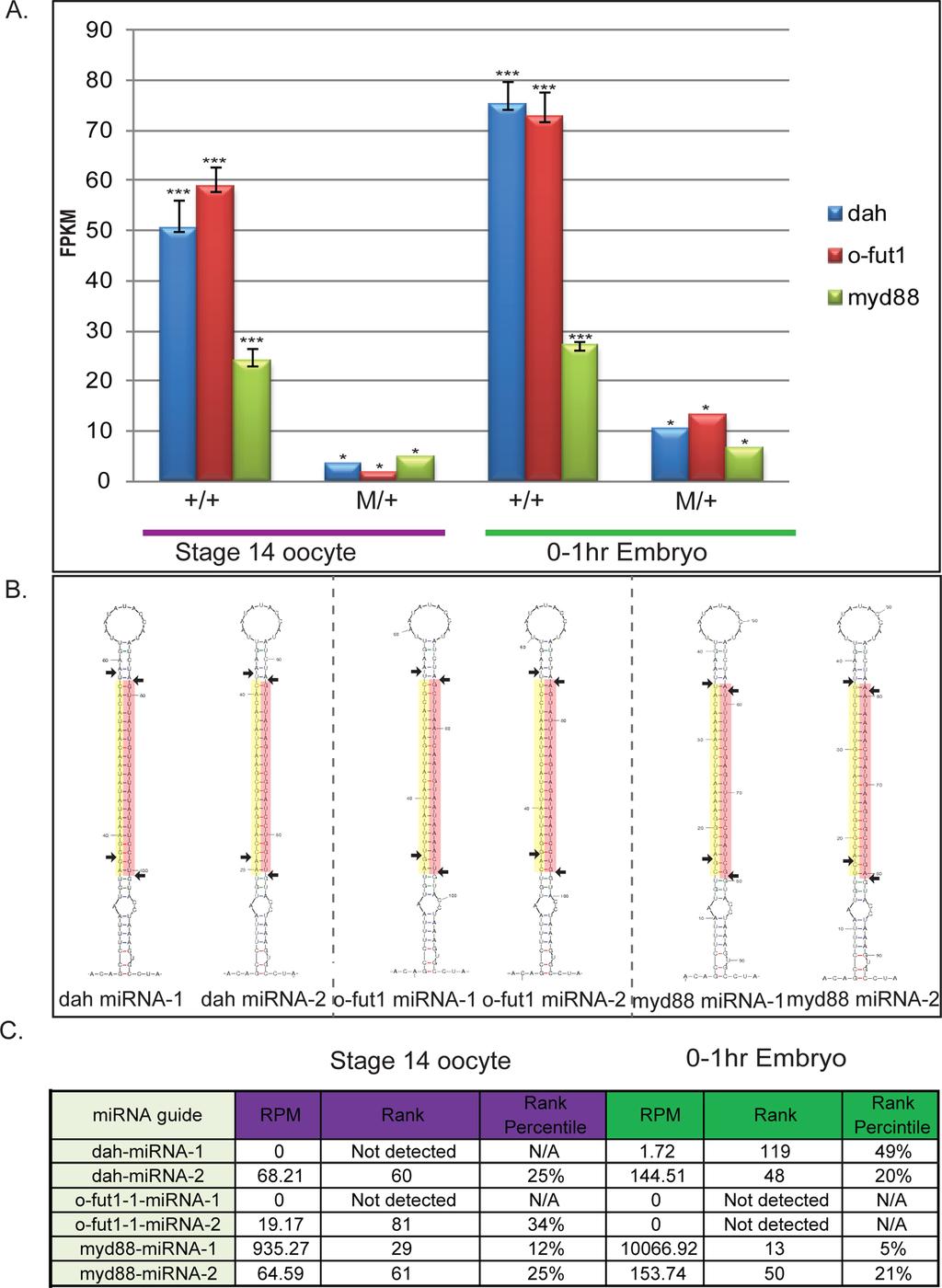 Figure 3. Molecular characterization of stage 14 oocytes and 0 1 h embryos from mothers of specific genotypes.