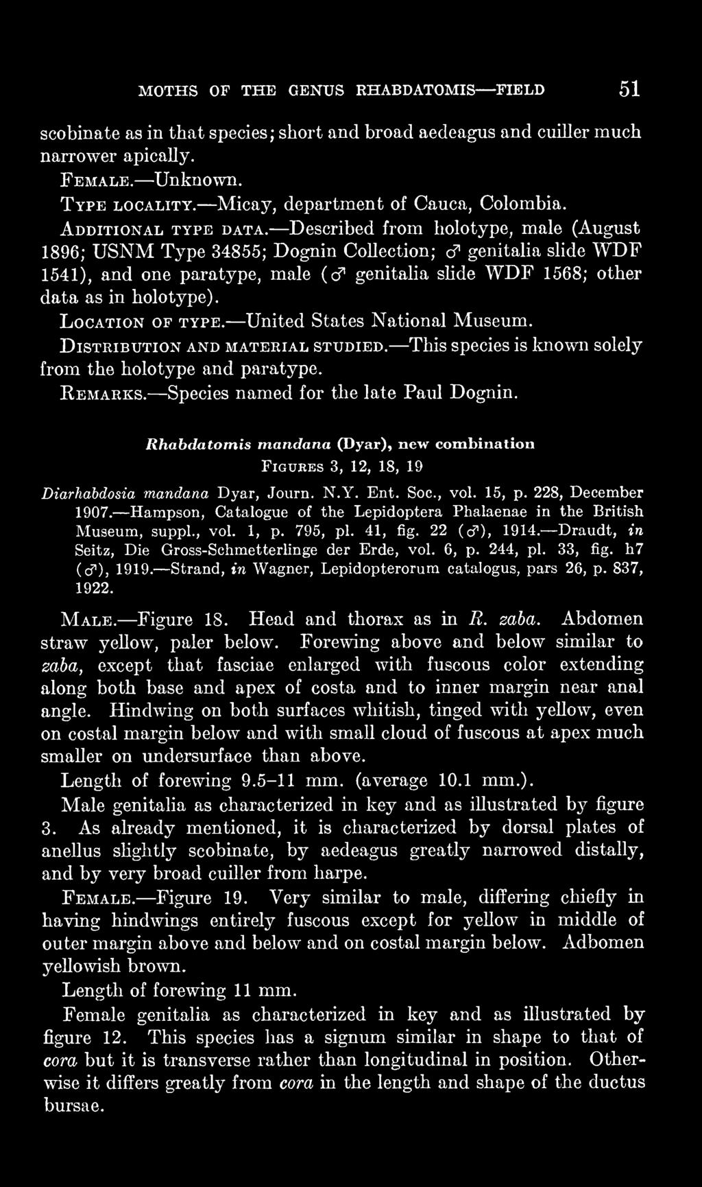 Rhabdatomis mandana (Dyar), new combination Figures 3, 12, 18, 19 Diarhabdosia mandana Dyar, Journ. N.Y. Ent. Soc, vol. 15, p. 228, December 1907.