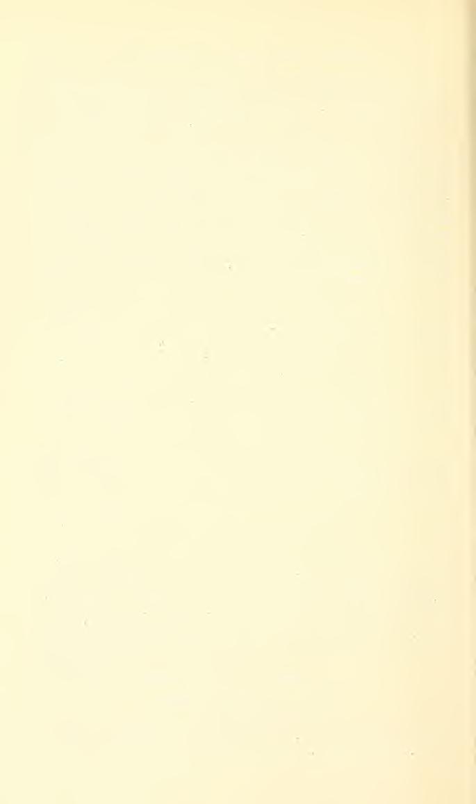 :. 54 PROCEEDINGS OF THE NATIONAL MUSEUM vol. us Lithosia peruviana Schaus, Hampson not Schaus, Catalogue of the Lepidoptera Phalaenae in the British Museum, vol. 2, p. 518, 1900.