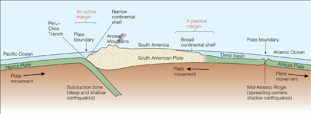Types of Continental Margins Atlantic (shelf, slope, rise): passive, aseismic Pacific (shelf, slope, trench): active, seismic