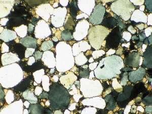 Detrital Rocks Lithic Fragments Quartz Clay Minerals Fossil