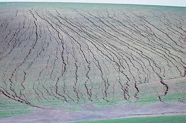 Natural rates of soil erosion