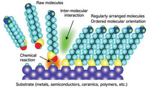 Self-assemble of organic monolayers for