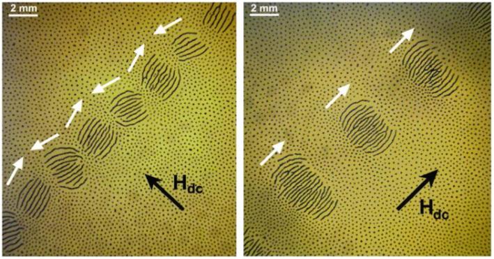 Bottom-up fabrication A way to make nanometer size features, and lots of them, letting nature work for you.