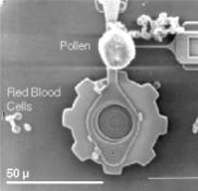 05-26-06, pmd Nanotube electrode