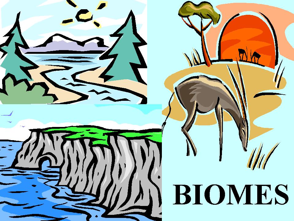 Biomes Chapter