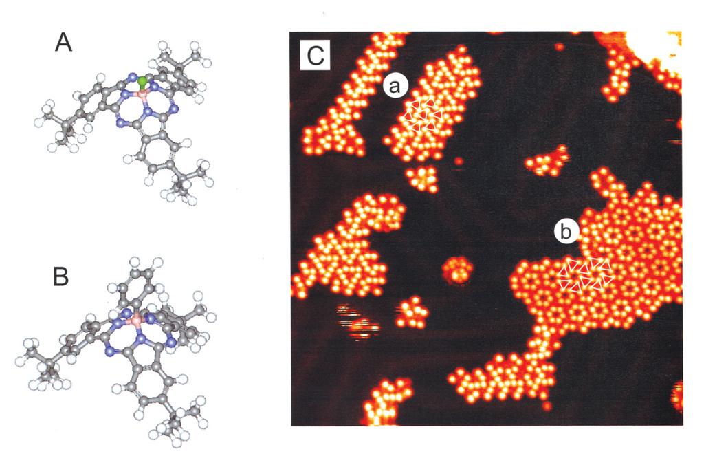 Fig.4 Molecular models of TBSubPc molecule and phenyl TBSubPc molecule and their STM images (40 nm 40 nm) 3.