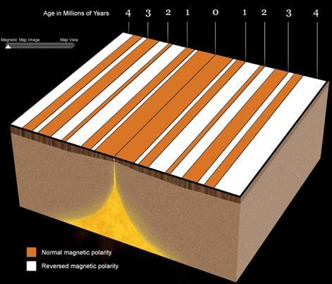 Seafloor Age By combining magnetic polarity data from rocks on land and on the seafloor with radiometric age dating and fossil ages, scientists came up with a time scale for the magnetic reversals.