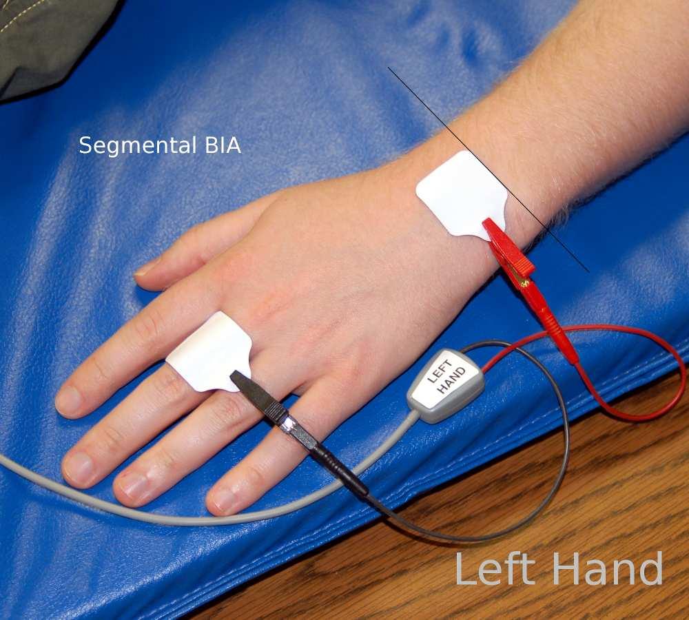 -11- Segmental BIA left and right hand placement The detecting edge is placed on an