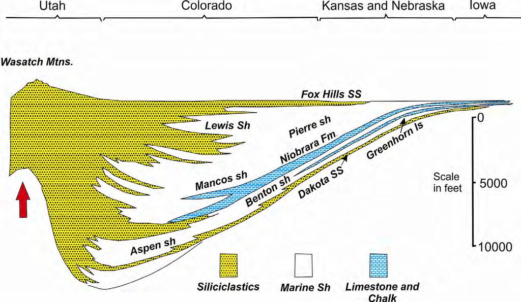 Cretaceous Cross Section, Western
