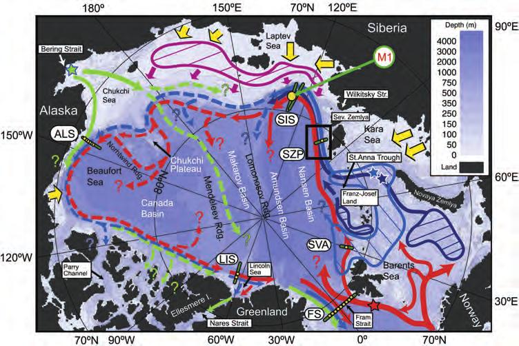 Figure 1. Schematic of the halocline and Atlantic waters circulation in the Arctic Ocean after McLaughlin et al. [2004, 2009], Rudels et al. [1994, 2004], Schauer et al. [2002], Shimada et al.