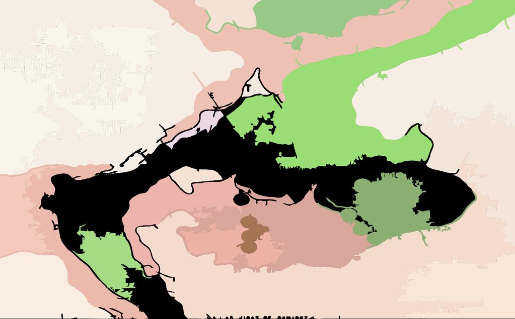 District Scale Geological Setting Tigr Ki Ki Tigr In the Las Minas region, a Cretaceous limestone platform (green) is intruded by granodiorite to diorite bodies (pink) over an area of > 100 sq. km.