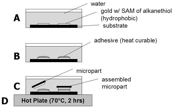 2.3 Self-Assembly Using Capillary Forces Figure 2 summarizes the general process for part self-assembly using capillary forces.