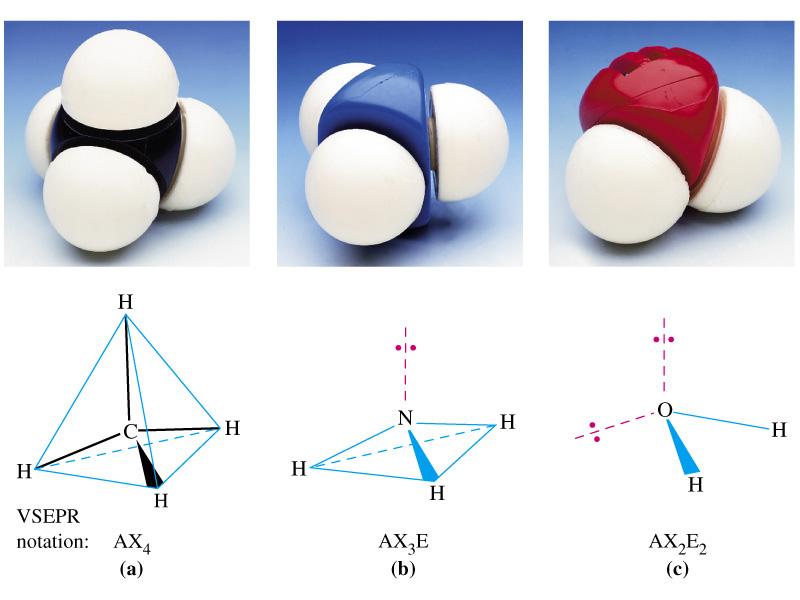 Methane, Ammonia and Water Tetrahedral Pyramidal Bent A is the central